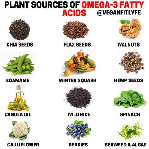 best cheap vegan omega 3|best vegan omega 3 sources.